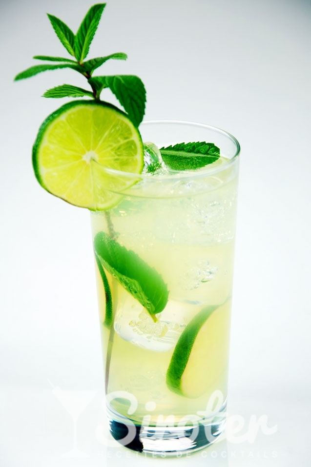 Virgin Mojito Cocktail : Recipe, instructions and reviews ...
