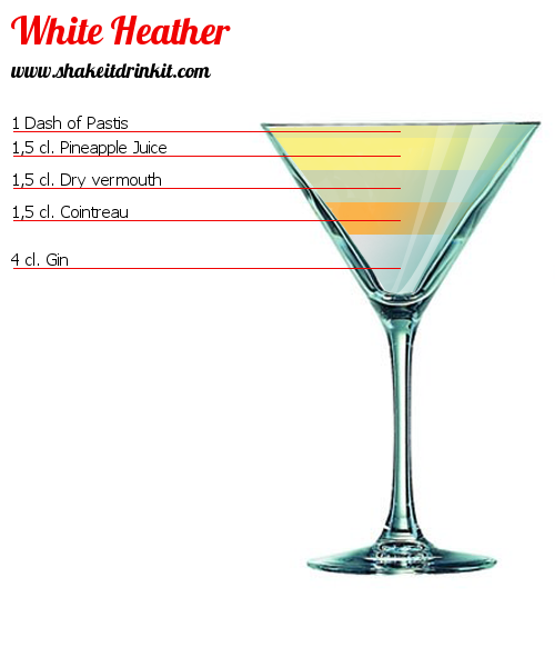 Cocktail Recipe TEQUILA FIZZ Cocktail TEQUILA FIZZ