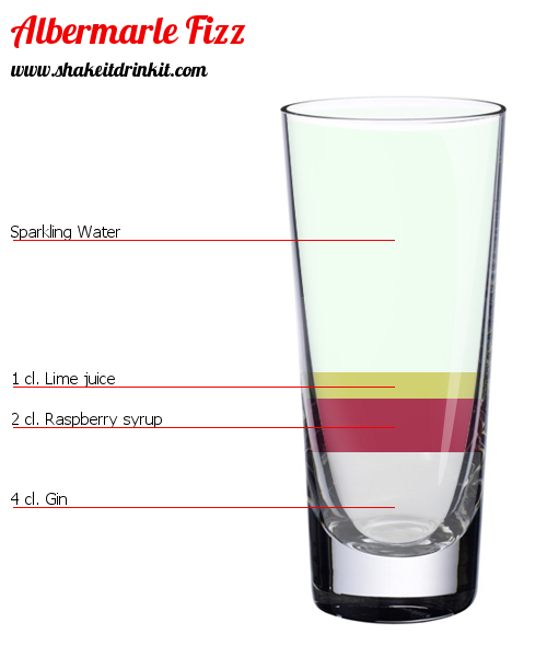 Cocktail Recipe ALBERMARLE FIZZ Cocktail ALBERMARLE FIZZ