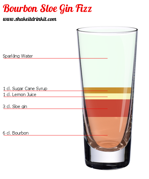 Cocktail Recipe BOURBON SLOE GIN FIZZ Cocktail BOURBON SLOE GIN FIZZ