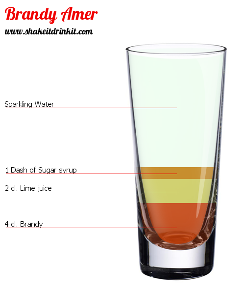Cocktail Recipe BRANDY AMER Cocktail BRANDY AMER