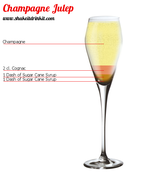 Cocktail CHAMPAGNE JULEP