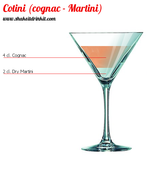 Cocktail COTINI (COGNAC - MARTINI)