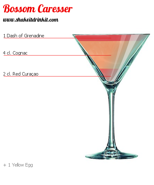 Cocktail Recipe HAVANA CLUB Cocktail HAVANA CLUB