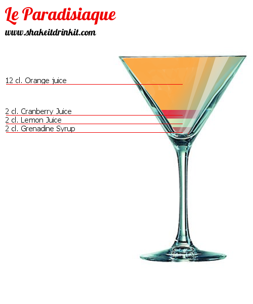 Cocktail LE PARADISIAQUE